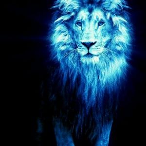 Meet your Posher, Adeniyi